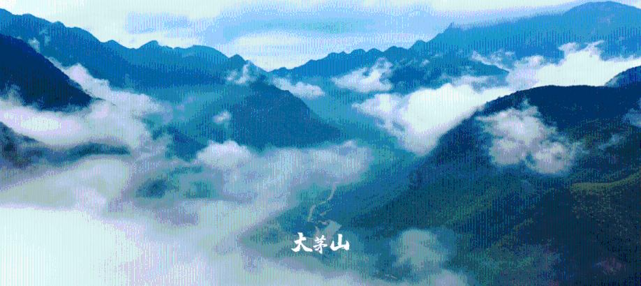 《诗行重庆》开拍!单霁翔为渝中“代言”~