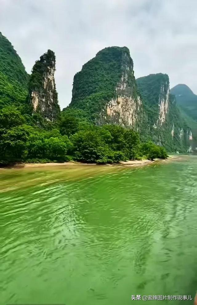 逗小猴开心系列177